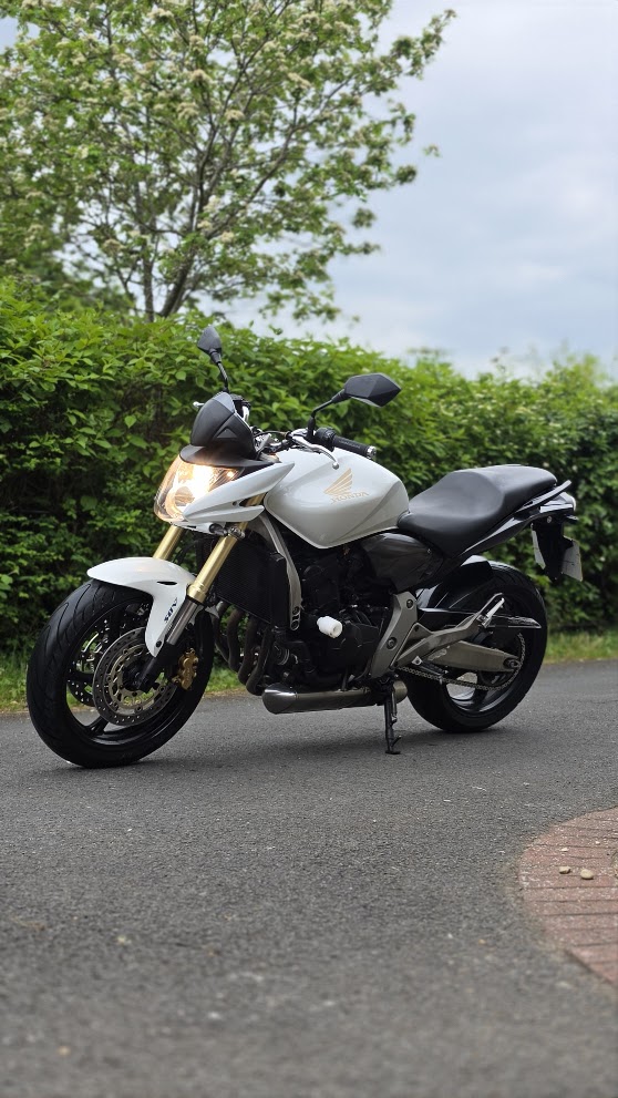 White Honda Hornet 600 — full side profile outdoors